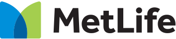 Metlife provider search
